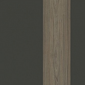 Антрацит / Вяз Благородный